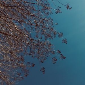 Meet your Posher, Camila